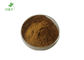 Anthelmintic Cissus Rhombifolia Herbal Extract Powder
