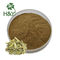 Lose Weight Herbal Extract Powder Senna Leaf Extract Yellow Brown Color