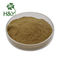 Customized Health Care Supplement Senna Leaf Powder With TLC Test Method