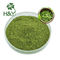 300 Mesh Leaf Part Pure Instant Drink Matcha Tea Powder