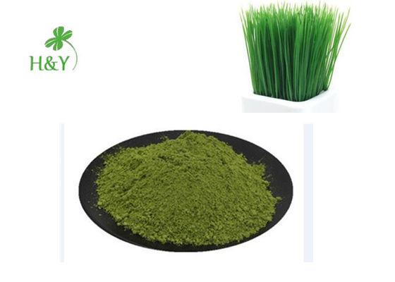 Natural Pure Wheatgrass Powder 200 Mesh 2 Years Shelf Time Boost Immunity