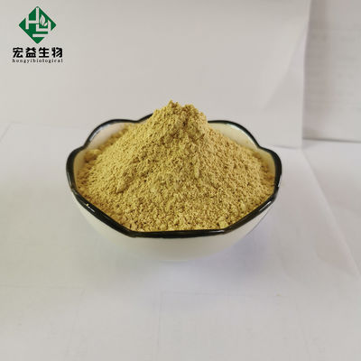 Fine Powder Rutin Extract 95% Sophora Japonica Flower Extract