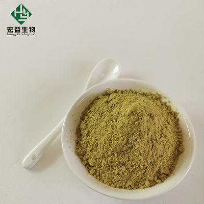Loquat Leaf Extract Ursolic Acid Bulk Powder CAS 77-52-1