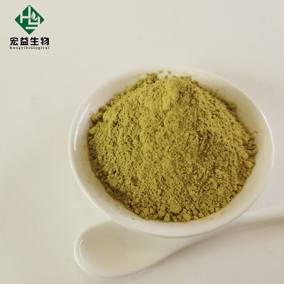 98% Bulk Rutin sophora japonica 153-18-4 Medicine Grade