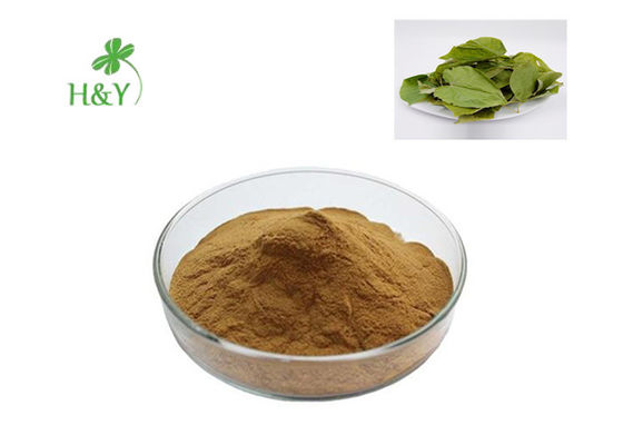Honey Goat Weed  Icariin Powder Extract , 10% 20% Epimedium Extract Icariin HPLC