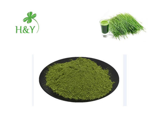 GMO Free Pure Wheatgrass Powder Nutritious For Human Metabolism Promotion