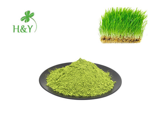 Healthy Oat Grass Powder , Avena Sativa Powder Strengthening Immune System