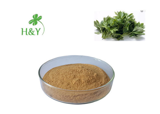 Anti Thrombus Ashitaba Leaves Herbal Extract Powder For Pharmaceutical Industry