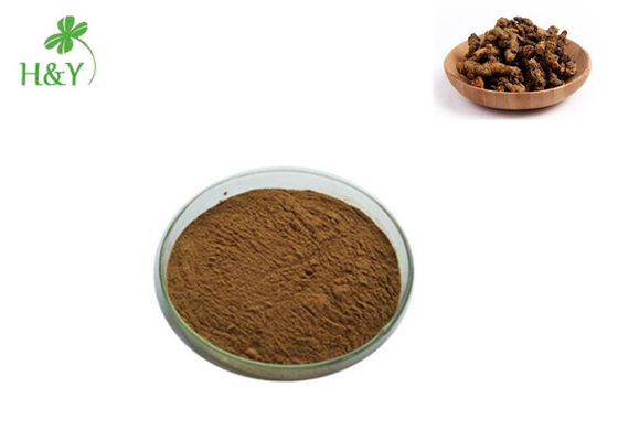 Pure herbal Coptis root extract goldthread rhizome extract coptis chinensis extract 10:1, 20:1, Customized