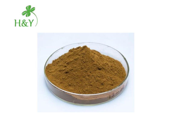 Strong Anti Tumor Properties Ashitaba Extract , Herbal Extract Powder