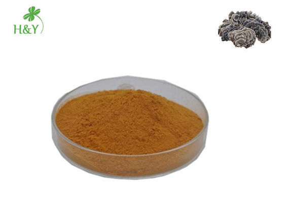 China factory supply bulk price natural mushroom coriolus versicolor extract