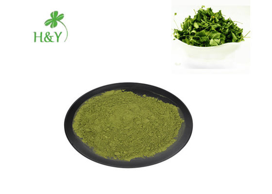 Characteristic Odour Moringa Leaf Extract Powder For Health Care Product Field