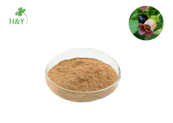Factory directly supply bulk price high quality atropa belladonna extract powder