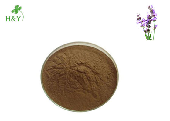 Infective Diseases Treatment Herbal Extract Powder , Clary Sage Extract