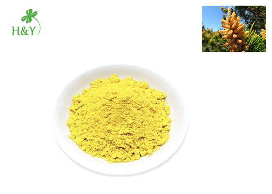 High Functional Powdery Pine Pollen Extract , Anti Aging Pine Pollen For Women