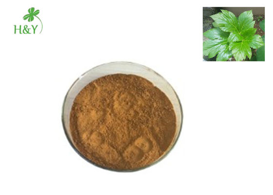 Antimetabolic Ashitaba Powder , Liver Detoxification Ashitaba Extract