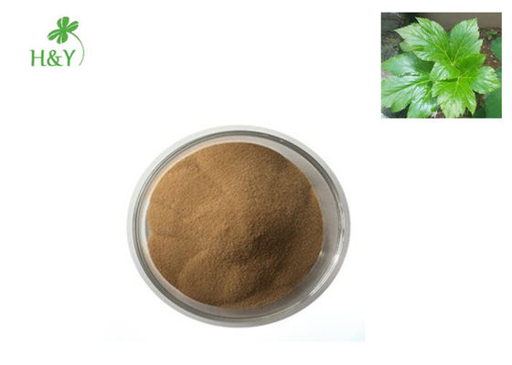 100% Natural Ashitaba Extract Powder Health Care Supplement Bacteria Prevention