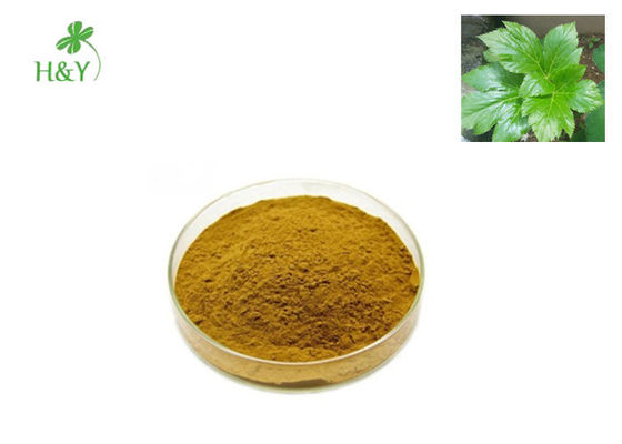 Customizable Ashitaba Powder , Pharmaceutical Natural Botanical Extracts