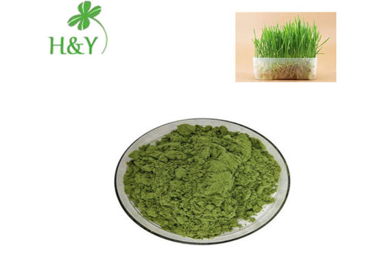 Cholesterol Lowering Oat Sprout Powder For Nervous Breakdown Treatment