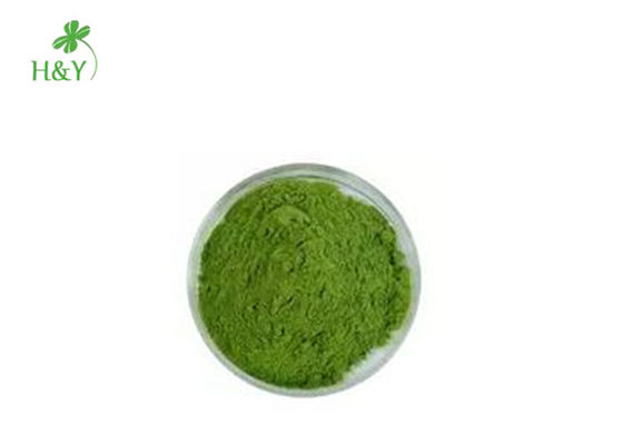 Healthy Barley Grass Powder For Boosting Blood Circulation Maintaining Healthy Weight