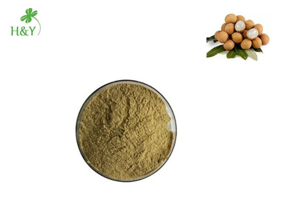 Brown Yellow Powder Herbal Extract Powder Longan Fruit Extract 2 Years Shelf Life