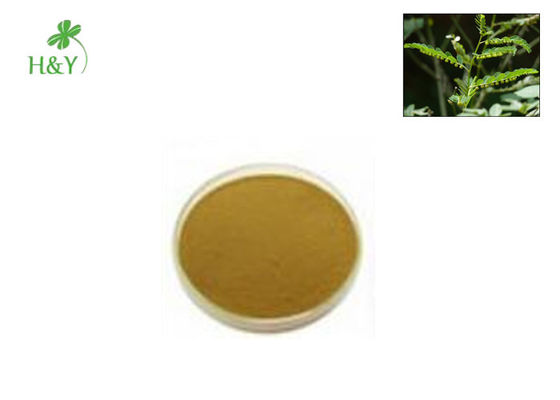 Customized Herbal Extract Powder Natural Phyllanthus Urinaria Extract From Leaf Part