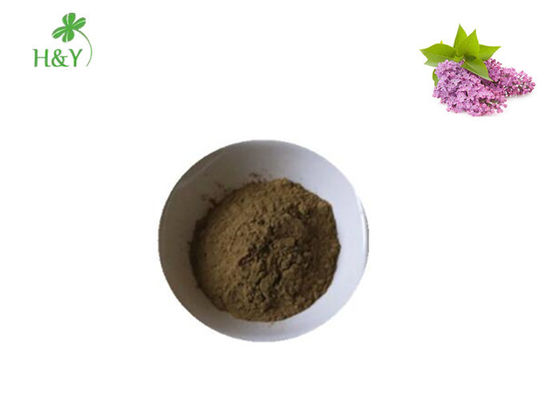 Nutritional Supplement Herbal Extract Powder Clove Extract Powder TLC Test Method