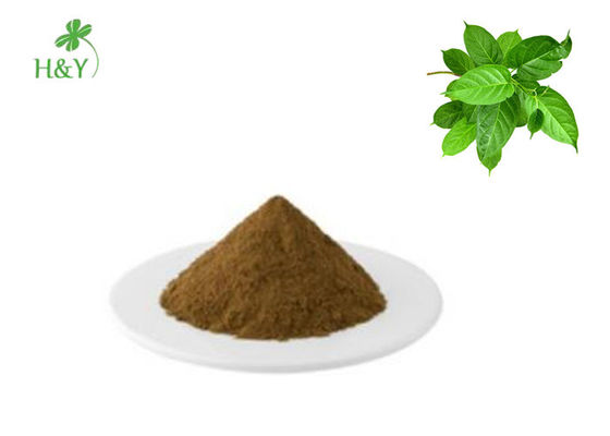 Blood Sugar Supplement Herbal Extract Powder Leaf Part Gymnema Sylvestre Extract