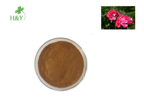 Stimulating Lymph System Herbal Extract Powder Geranium Root Extract Powder For Food / Cosmetics