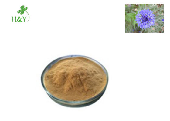 Whole Herb Centaury Extract Brown Cornflower Extract Powder Bag / Drum Package