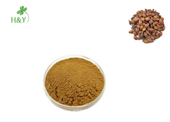Brown Yellow Herbal Extract Powder Cherokee Rose Fruit Extract Anti Oxidation