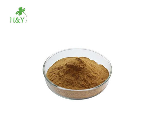 Natural Health Herbal Extract Powder Echinacea Purpurea Plant Extract Powder