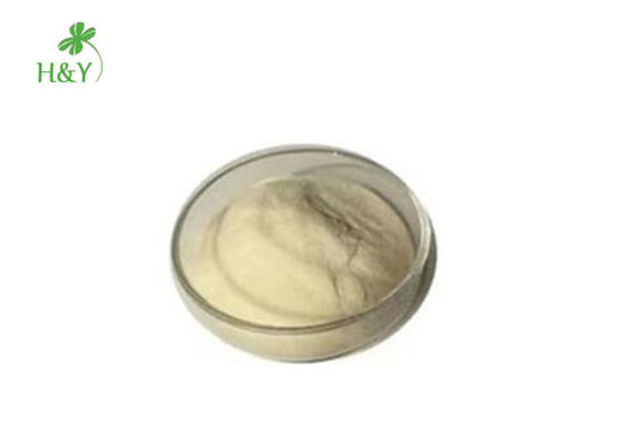 Freeze Dried Herbal Extract Powder Aloe Vera Extract Powder Anti Wrinkle