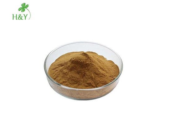 Pure Supplement Herbal Extract Powder Atractylodes Extract From Leaf Part