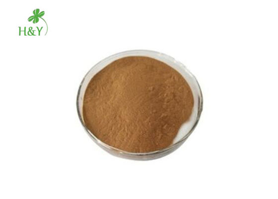 Dry Place Storage Herb Arisaema Calcareum Extract