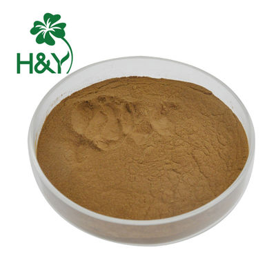 Food Grade 80 Mesh Herbal Burdock Root Extract Powder