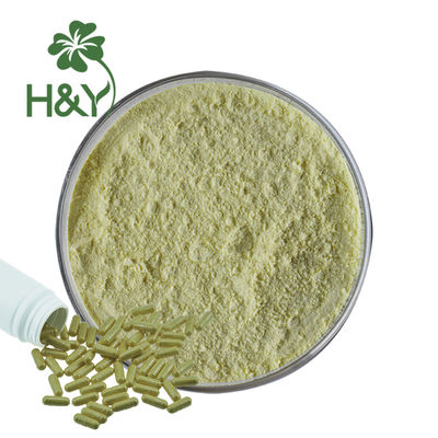 Root Kavalactones 30% Supplement Kava Extract Powder