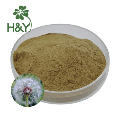 TLC Liver Diseases Natural Dandelion Root Extract Powder