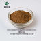Herbal Extract Powder Bulk Resveratrol Powder Purity 10%-98%