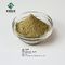 Loquat Leaf Extract Ursolic Acid Powder Purity 25%