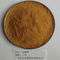 Light Brown Forsythia Suspensa Fruit Extract Powder 1%-98%