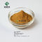 Medicine Grade Forsythia Suspensa Fruit Extract Forsythia Powder 2%