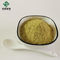 98% Bulk Rutin Powder Sophora Japonica Extract 153-18-4