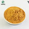 Chlorogenic Acid Honeysuckle Flower Extract CAS 327-97-9