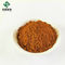 10% Chlorogenic Acid Powder Honeysuckle Extract For Nutraceutical Products