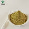 CAS 77-52-1 Bulk Ursolic Acid Extract Loquat Leaves Extract