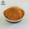 Medicine Grade Forsythia Suspensa Fruit Extract Forsythia Powder 2%