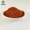 Red Powder Salvia Miltiorrhiza Extract 5% - 98% Salvianolic Acid B