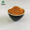 Red Powder Salvia Extract Salvianolic Acid B 10% Medicine Grade