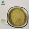 CAS 520-36-5 Light Yellow Apigenin Powder 98% For Nutraceutical Products